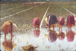 A painting of women picking rice in a field